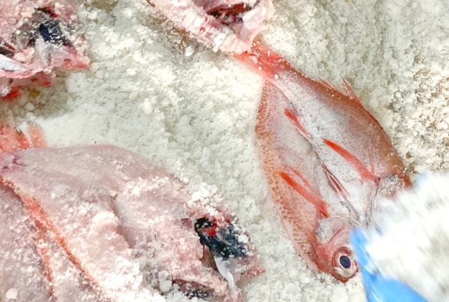 塩の入れ方は、魚に直接塩を振りかける「もぐりじお」と塩水に漬けこむ「たてじお」の2種類。のどぐろや甘鯛など、魚体に厚みがあり脂ののった魚は「もぐりじお」です。